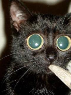 Other Wallpapers 0664